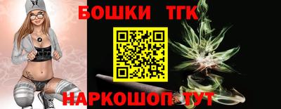 СК Обь