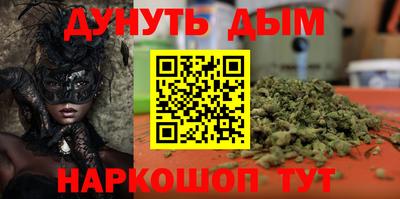 индика Новодвинск