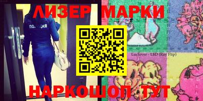 индика Новодвинск