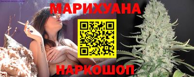 индика Новодвинск