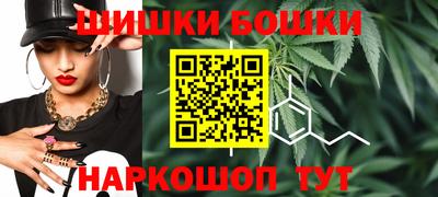 СК Обь