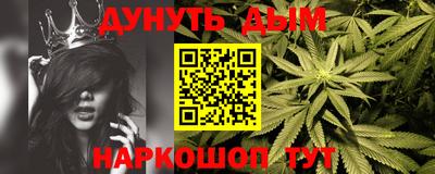 индика Новодвинск