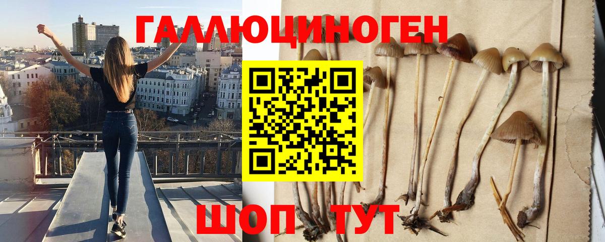 Псилоцибиновые грибы GOLDEN TEACHER Подольск