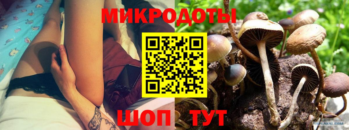 Псилоцибиновые грибы Magic Shrooms  Вход с VPN  Подольск 